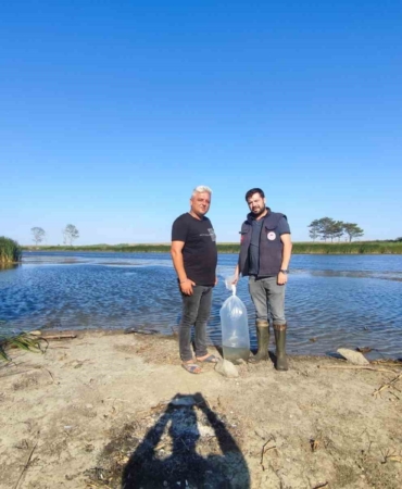 Muratlı’da göletlere 25 bin sazan yavrusu salındı