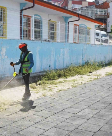 Okul bahçelerinde yabani ot temizliği