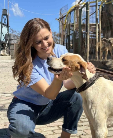 Patili dostlar n11 ile yeni yuvalarını arıyor