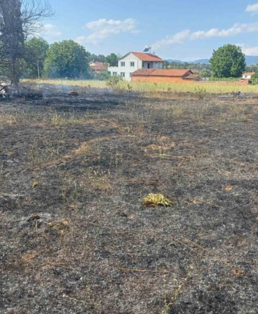 Pazaryeri’nde çıkan arazi yangını korkuttu