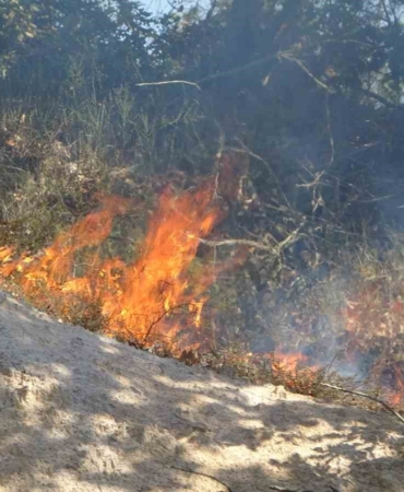 Pendik Kurtdoğmuş Köyü’nde korkutan yangın: Köylüler seferber oldu