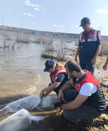 Pınarhisar’da barajlara balık bırakıldı