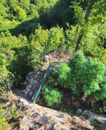 Sakarya’da jandarmadan uyuşturucu operasyonları: 6 tutuklama