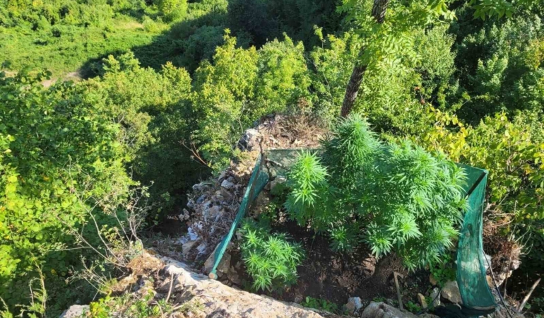 Sakarya’da jandarmadan uyuşturucu operasyonları: 6 tutuklama