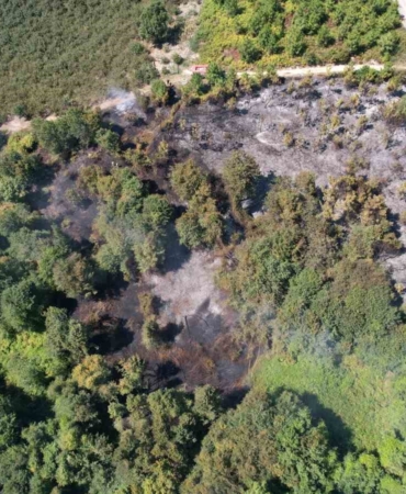 Sakarya’da korkutan orman yangını