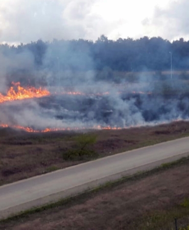 Sakarya’da otluk alanda yangın