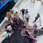 Sarıyer’de av sezonu öncesinde balıkçılar son hazırlıklarını yapıyor