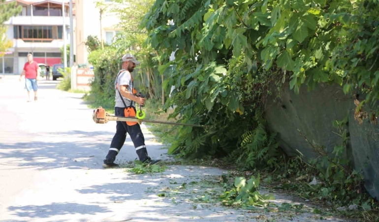 Serdivan’da yaz bakımı devam ediyor