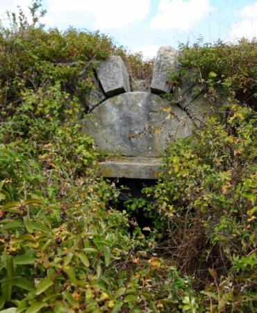 Tarih çalılıkların arasında kayboldu