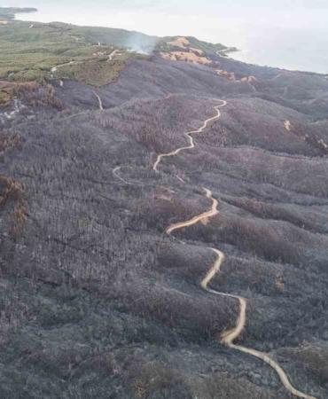 Tarihi Alan’daki orman yangınında 980 futbol sahası büyüklüğünde yer etkilendi