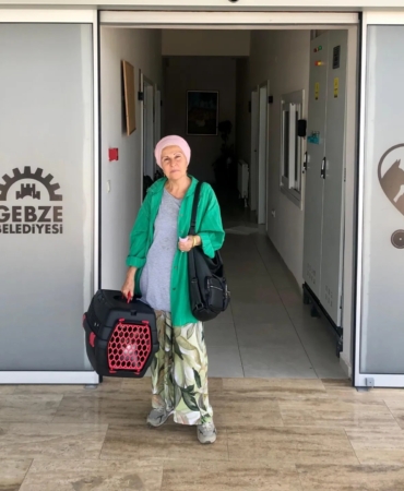 Tedavileri tamamlanan hayvanlar yeni yuvalarına kavuşuyor