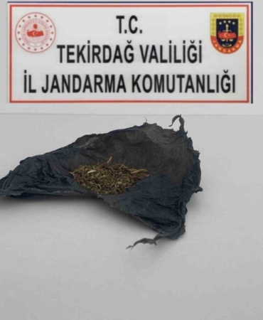 Tekirdağ’da uyuşturucu operasyonları: Bonzai ve esrar ele geçirildi