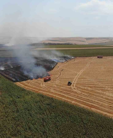 Tekirdağ’da yangınlarda 19 bin 676 dekar tarım arazisi zarar gördü