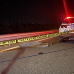 TEM Otoyolu’nda yolun karşısına geçmeye çalışan yayaya otomobil çarptı: 1 ölü