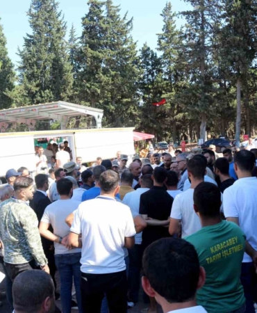 TİGEM tay satışından tek seferde 20 milyon 845 bin liralık gelir elde etti