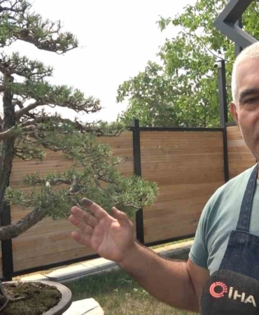 Toprak Dede’nin bonsai koleksiyonu müzede yaşatılıyor