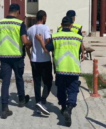 Yalova’da 181 kök Hint keneviri ele geçirildi: 1 gözaltı