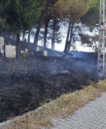 Yalova’da mezarlık yangını