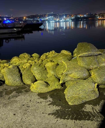 Yasak yolla 2 ton midye çıkardı: 26 bin TL cezai işlem uygulandı