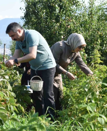 Yıldırım’da tarladan sofraya kadın eli