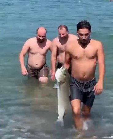 Yüzmek için girdiği denizde eliyle 6 kiloluk levrek yakaladı