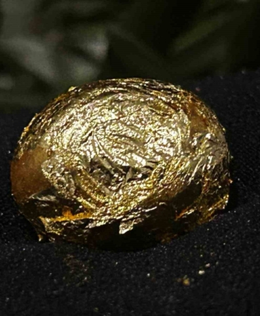 Altın zeytin festivalde görücüye çıktı