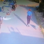 Ataşehir’de kangal köpeği başka bir köpeği parçaladı, olayı gören sahibi kalp krizi geçirdi