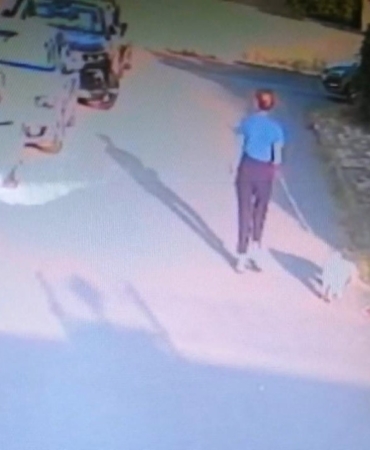 Ataşehir’de kangal köpeği başka bir köpeği parçaladı, olayı gören sahibi kalp krizi geçirdi