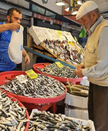 Av yasağı bitti tezgahlar palamutla doldu