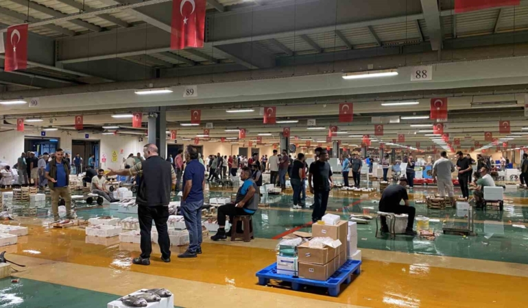 Av yasağı sona erdi, İstanbul’da sezonun ilk balıkları avlandı