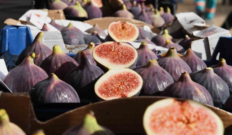 Aydın: “Siyah incir Bursa’nın gözbebeği”