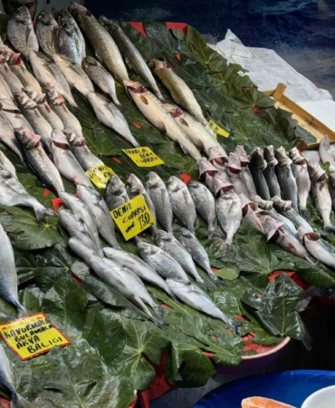 Balık sezonu açıldı: İstanbul’da balıklar tezgahlardaki yerini aldı