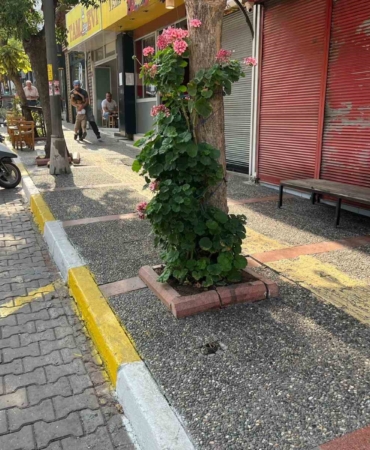 Bandırma’da şüpheli ölüm