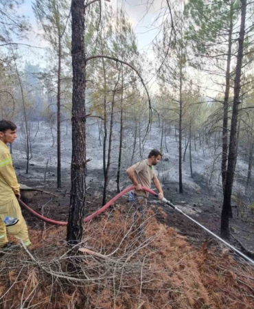 Bursa’da çıkan orman yangını kontrol altına alındı