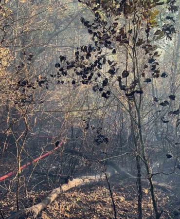 Bursa’da çıkan orman yangını kontrol altına alındı