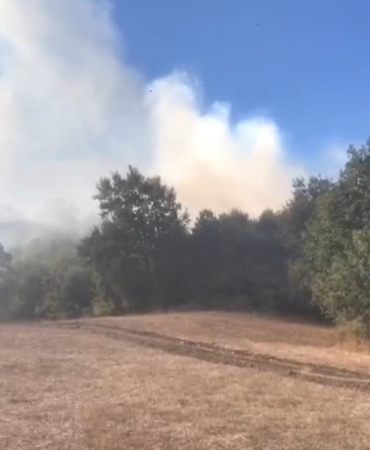 Bursa’da korkutan orman yangını