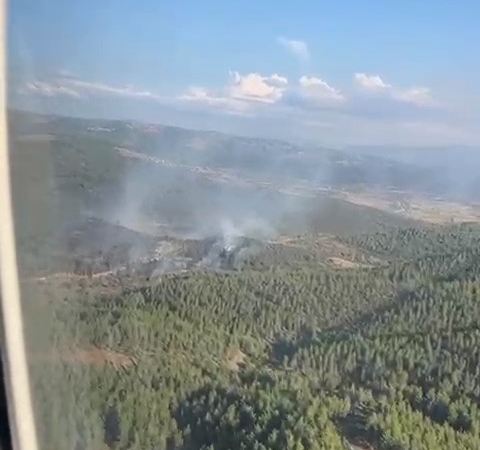 Bursa’da korkutan orman yangını