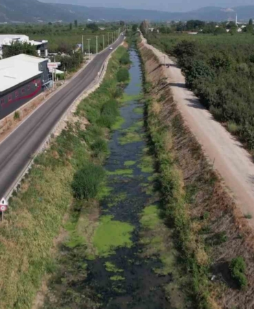 Bursa’da sulama kanalları kurudu, balık ölümleri başladı, şeftali ve armut kuruyor