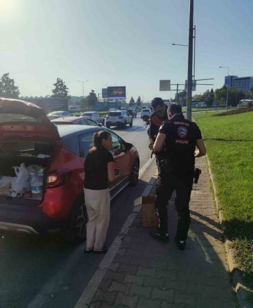 Bursa’da trafikte yavru kedi alarmı..Polisler 4 araca giren kediyi kurtardı