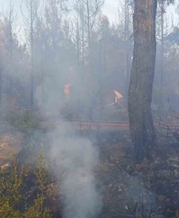 Çanakkale’daki orman yangını kontrol altına alındı