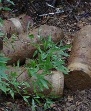 Çanakkale’de 109 yıllık 18 top mermisi bulundu