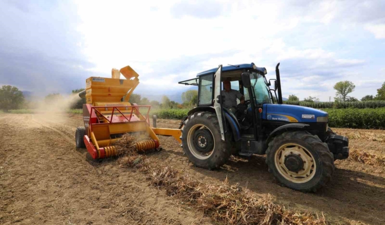 Cerrah Kuru Fasulyesinin hasadı başladı
