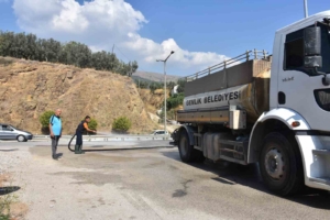 Gemlik’te dört koldan temizlik