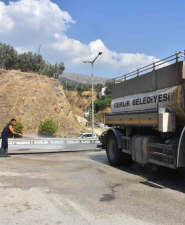 Gemlik’te dört koldan temizlik