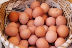 Haftada 1’den fazla yumurta yiyenlerde Alzheimer riski yüzde 47 daha düşük bulundu