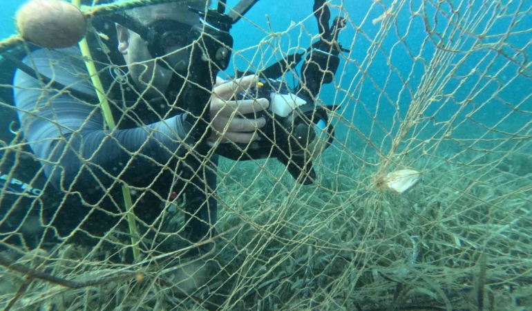 ’Hayalet ağ avcıları’ görev başında