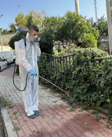 Kağıthane’de sinek ve haşerelere karşı tam zamanlı mücadele