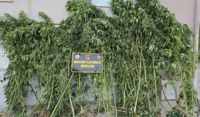 Karacabey’de uyuşturucu operasyonunda 1 tutuklama