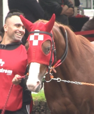 Kendilerinden önce fiyatları koştu, safkan 30 taydan sadece 3’ü satıldı