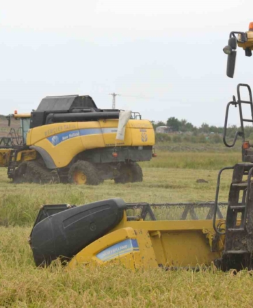 Keşan’da çeltik hasadı başladı